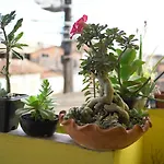 Porto Hostel