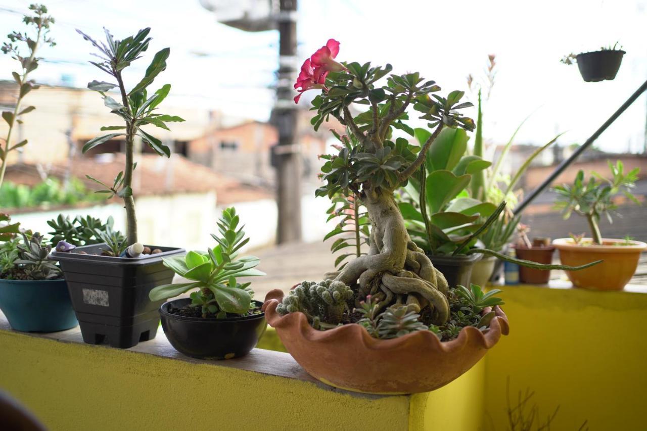 Albergue Porto *